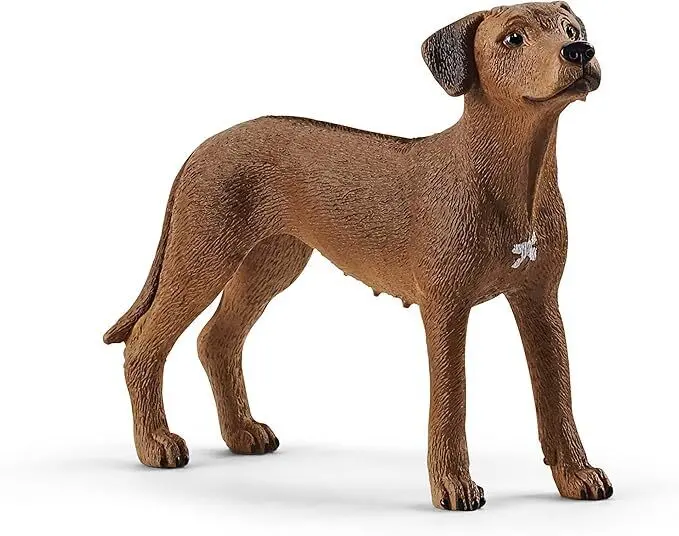 Cover: 4059433007229 | schleich® 13895 Farm World Rhodesian Ridgeback | Deutsch | 2019