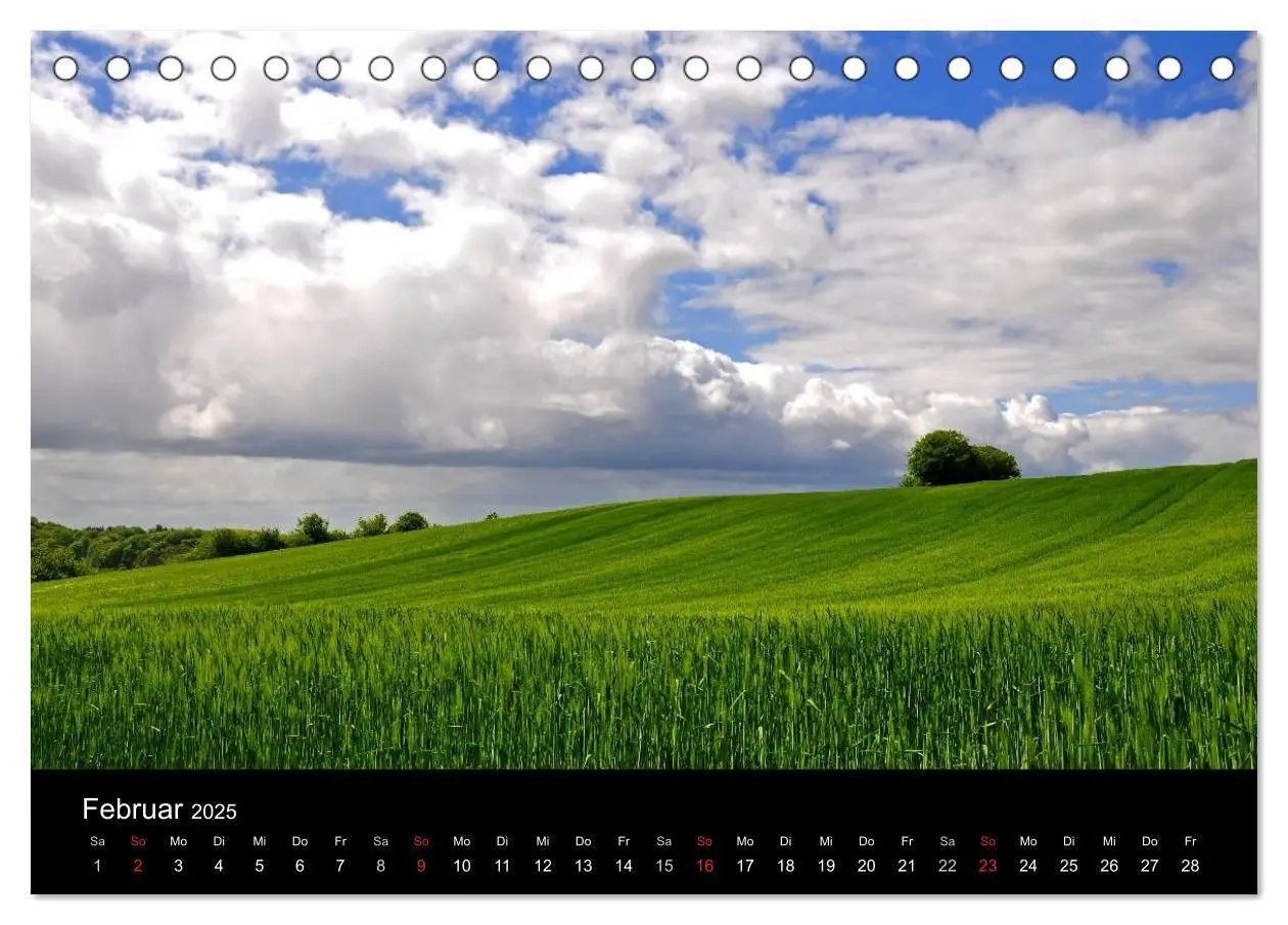 Bild: 9783435767229 | Plön - die Stadt am See (Tischkalender 2025 DIN A5 quer), CALVENDO...