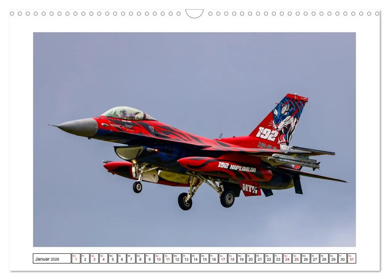 Bild: 9783457307229 | Nato Tiger Meet Schleswig (Wandkalender 2026 DIN A3 quer), CALVENDO...