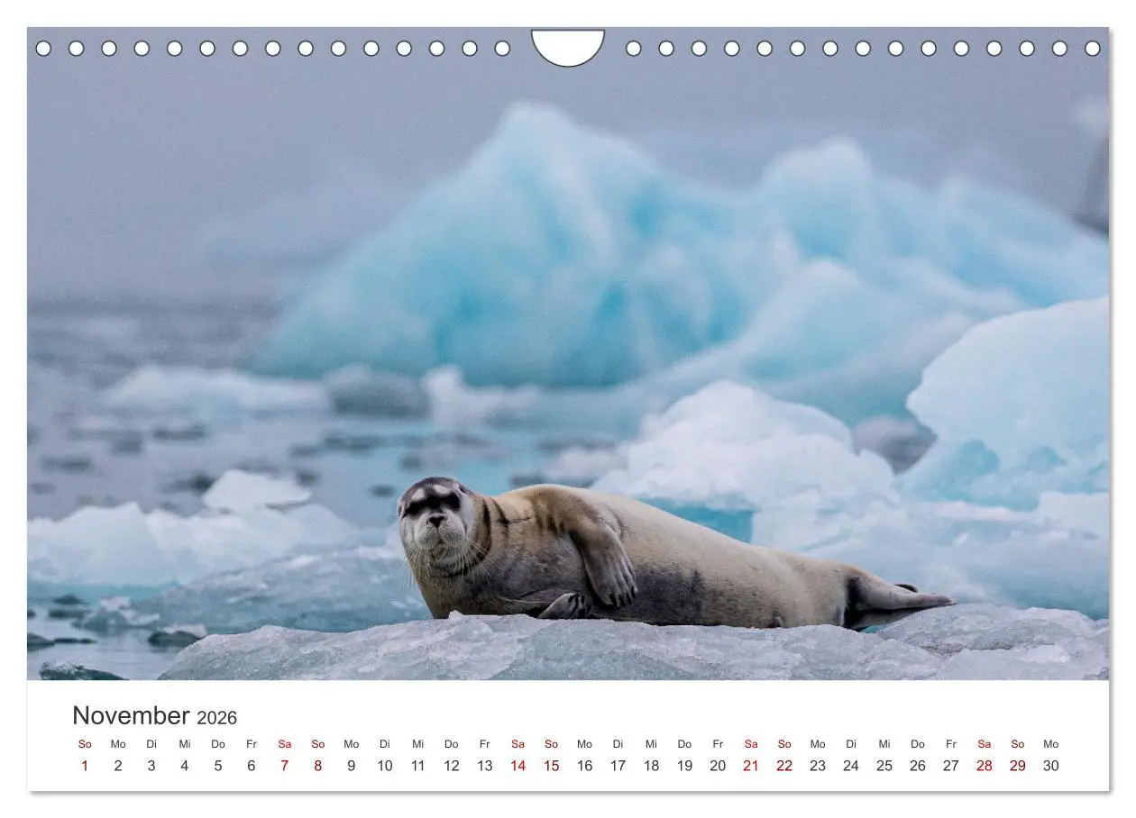 Bild: 9783457547229 | Spitzbergen - Eis, Eisbären und mehr (Wandkalender 2026 DIN A4...