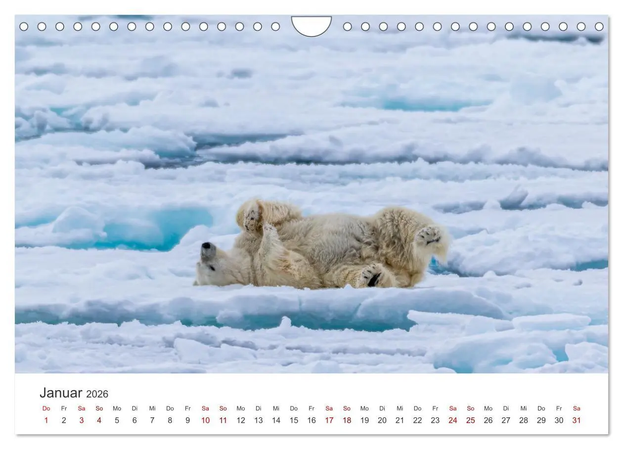 Bild: 9783457547229 | Spitzbergen - Eis, Eisbären und mehr (Wandkalender 2026 DIN A4...