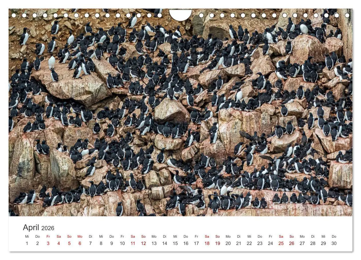 Bild: 9783457547229 | Spitzbergen - Eis, Eisbären und mehr (Wandkalender 2026 DIN A4...