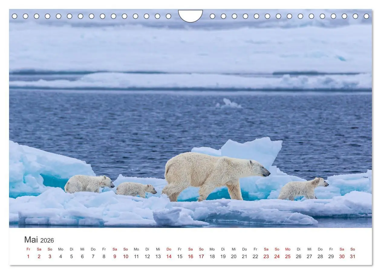 Bild: 9783457547229 | Spitzbergen - Eis, Eisbären und mehr (Wandkalender 2026 DIN A4...