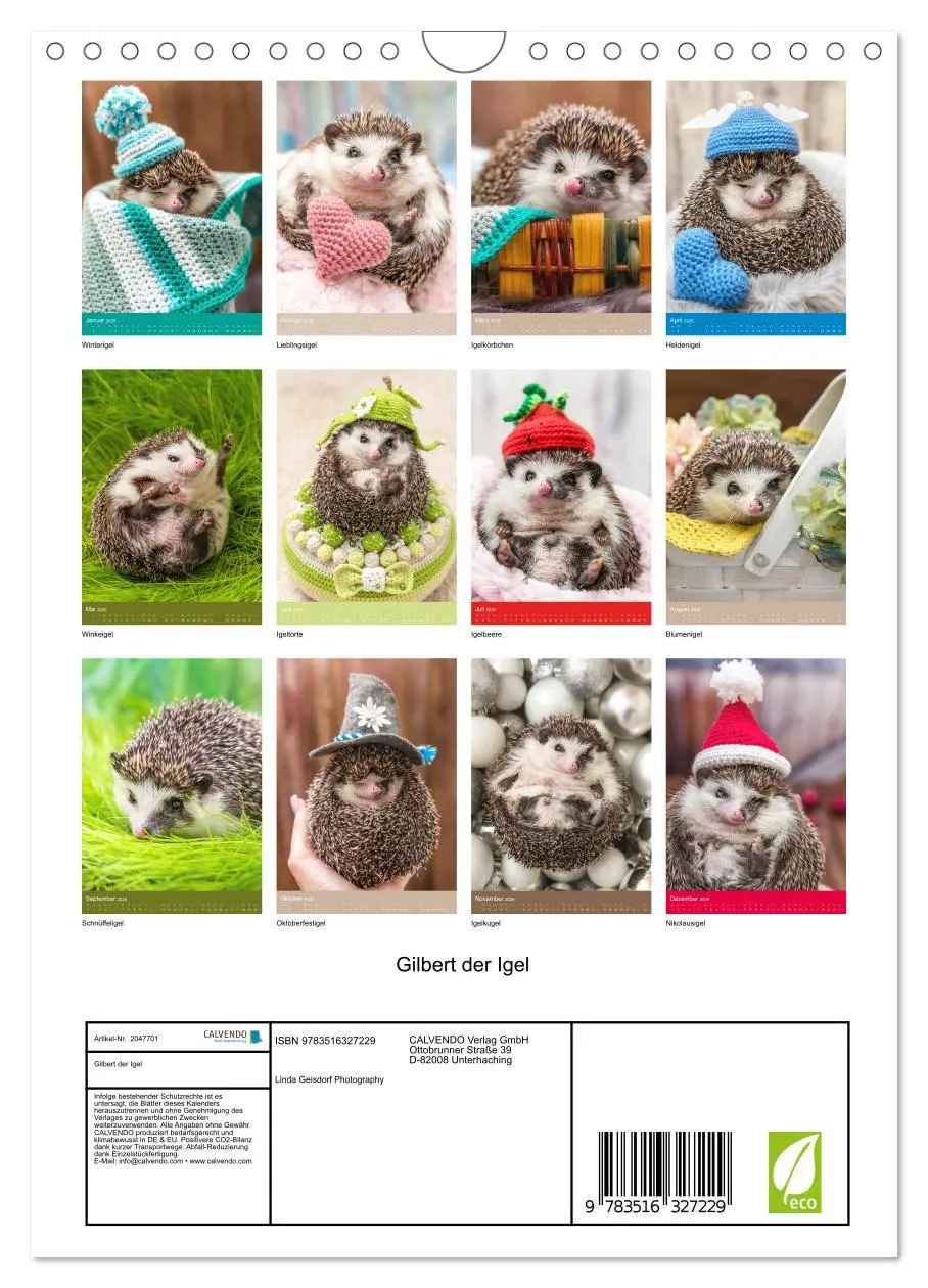 Bild: 9783516327229 | Gilbert der Igel (Wandkalender 2026 DIN A4 hoch), CALVENDO...