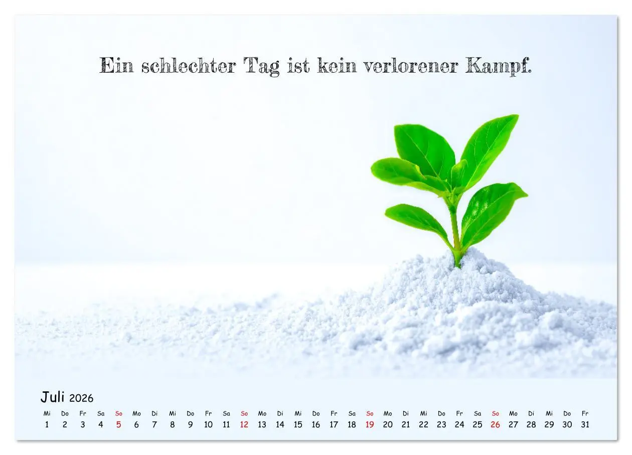 Bild: 9783516637229 | Krebs ist ein Vollidiot - Kalender für alle Kämpfer mit...