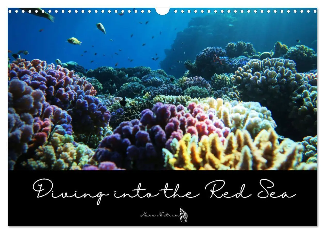 Cover: 9783516557329 | Diving into the Red Sea (Wall Calendar 2026 DIN A3 landscape),...