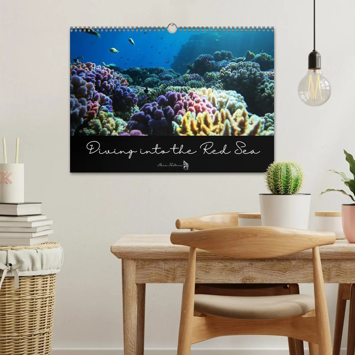 Bild: 9783516557329 | Diving into the Red Sea (Wall Calendar 2026 DIN A3 landscape),...