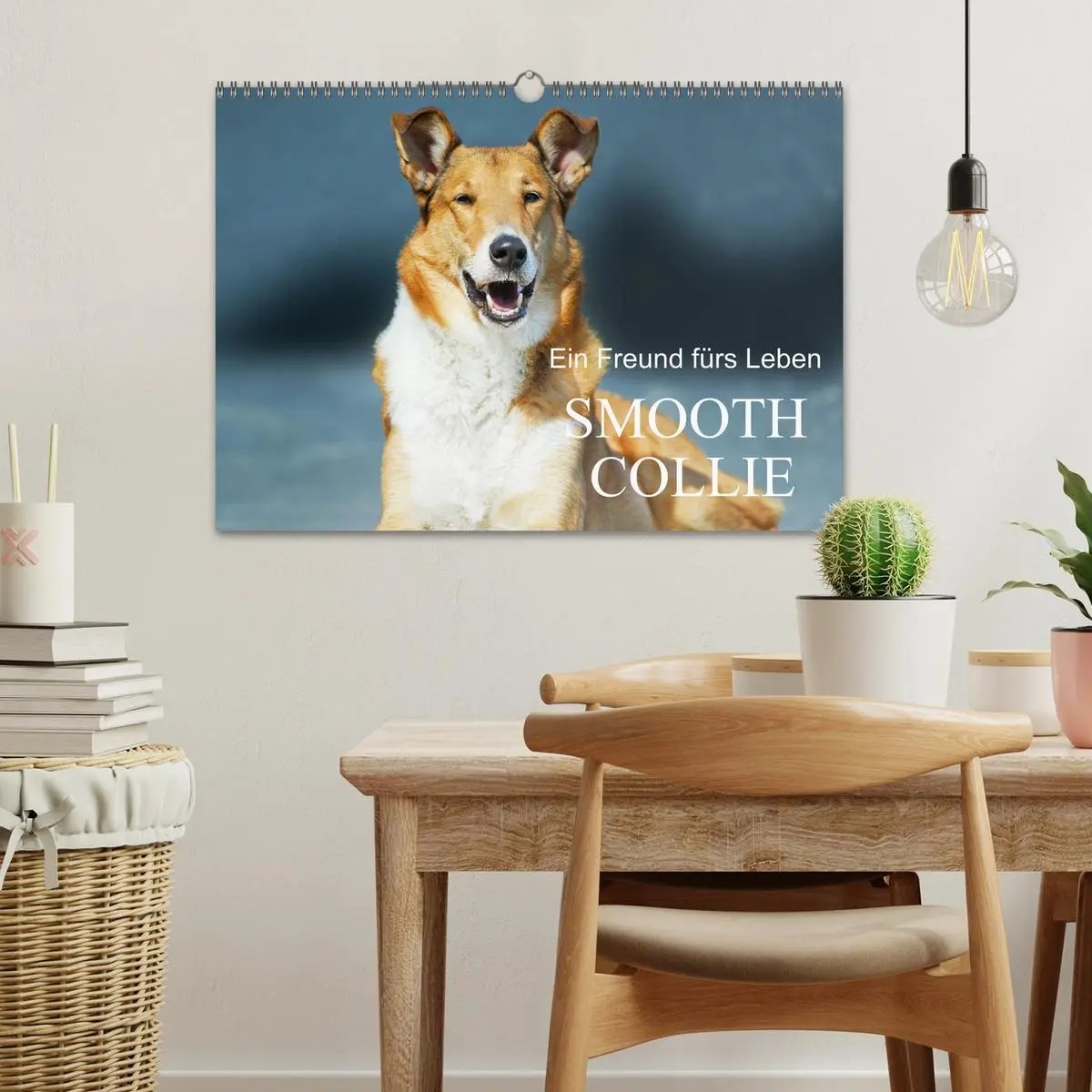 Bild: 9783457387429 | Ein Freund fürs Leben - Smooth Collie (Wandkalender 2026 DIN A3...