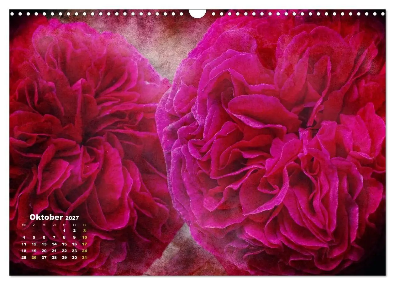 Bild: 9783594077429 | Rosen Romantik (Wandkalender 2027 DIN A3 quer), CALVENDO...