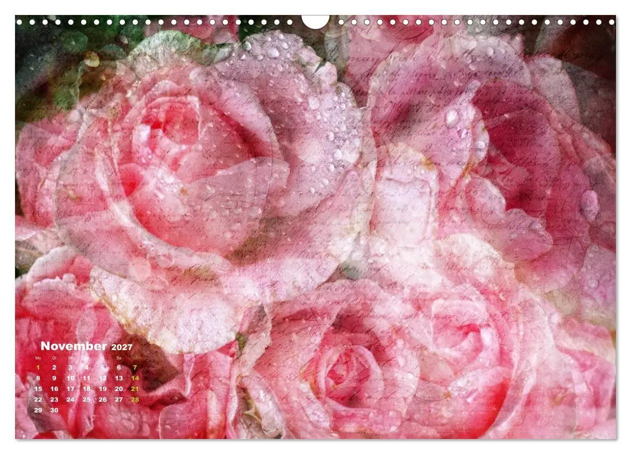 Bild: 9783594077429 | Rosen Romantik (Wandkalender 2027 DIN A3 quer), CALVENDO...