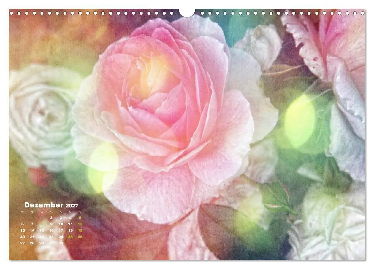 Bild: 9783594077429 | Rosen Romantik (Wandkalender 2027 DIN A3 quer), CALVENDO...
