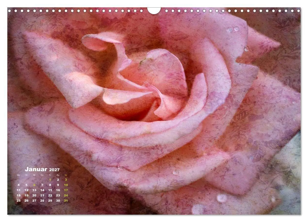 Bild: 9783594077429 | Rosen Romantik (Wandkalender 2027 DIN A3 quer), CALVENDO...
