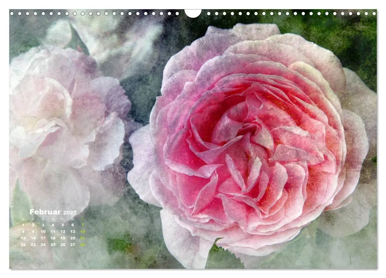 Bild: 9783594077429 | Rosen Romantik (Wandkalender 2027 DIN A3 quer), CALVENDO...