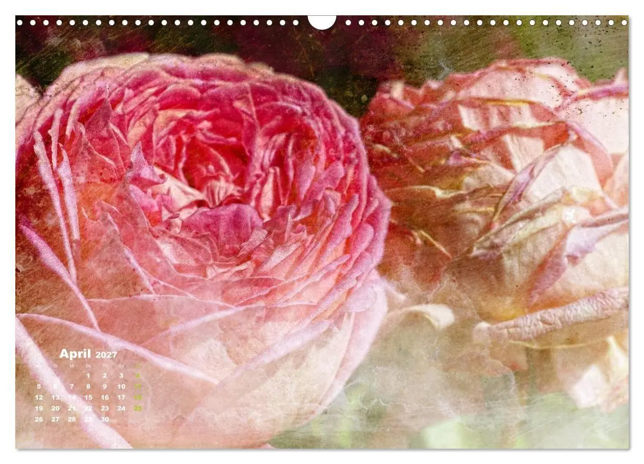 Bild: 9783594077429 | Rosen Romantik (Wandkalender 2027 DIN A3 quer), CALVENDO...