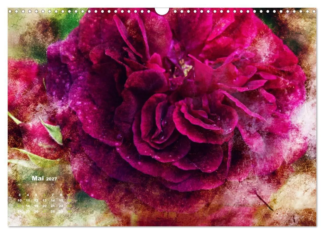 Bild: 9783594077429 | Rosen Romantik (Wandkalender 2027 DIN A3 quer), CALVENDO...