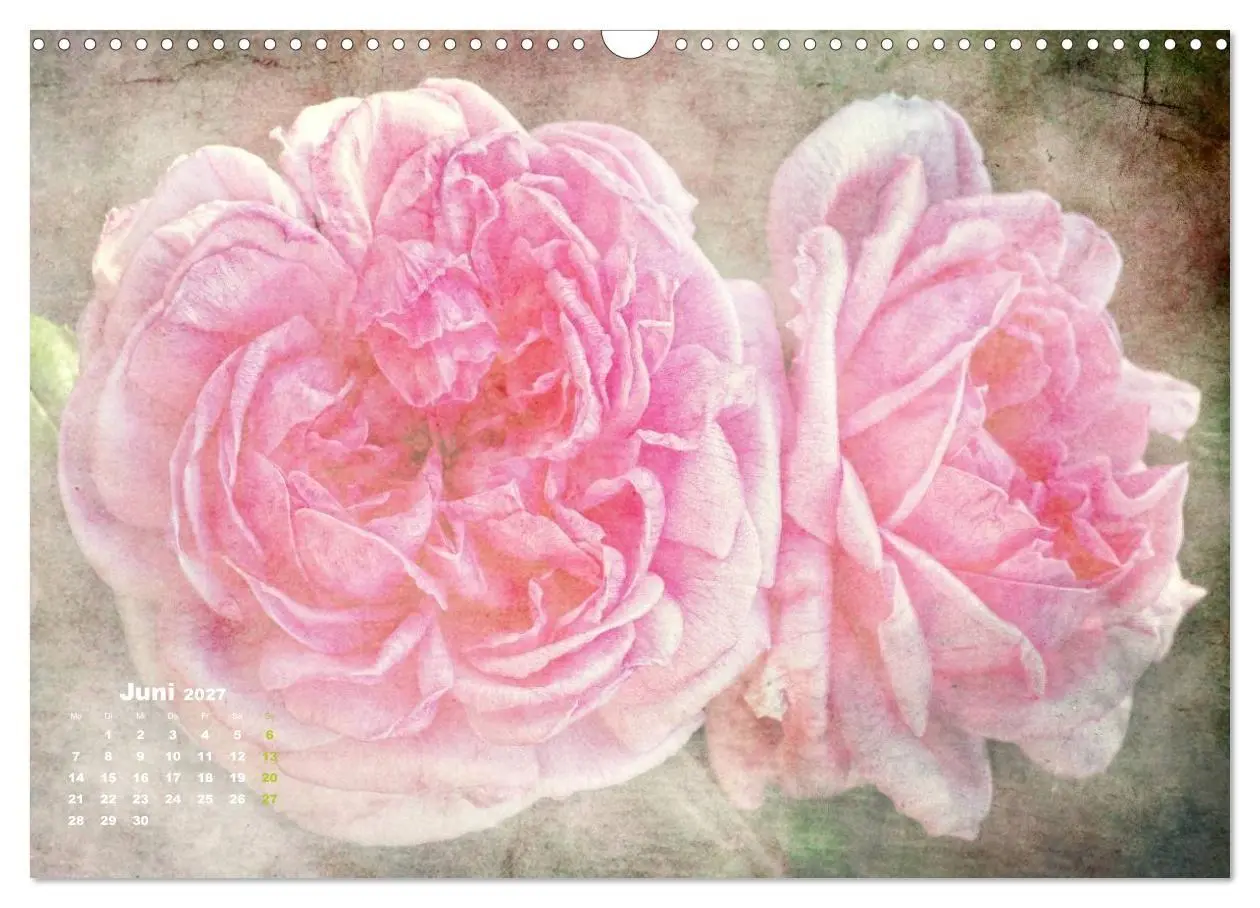 Bild: 9783594077429 | Rosen Romantik (Wandkalender 2027 DIN A3 quer), CALVENDO...