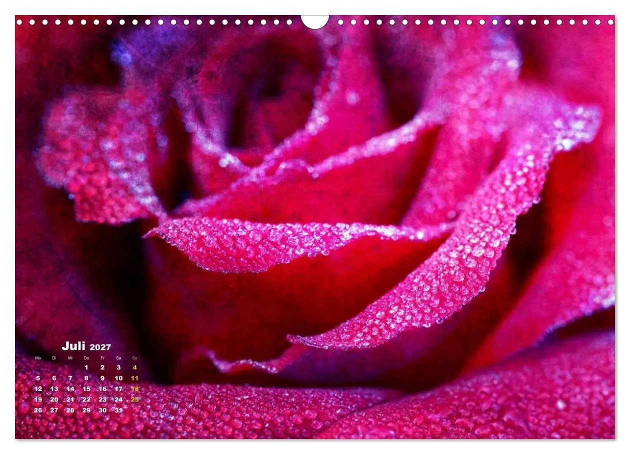 Bild: 9783594077429 | Rosen Romantik (Wandkalender 2027 DIN A3 quer), CALVENDO...