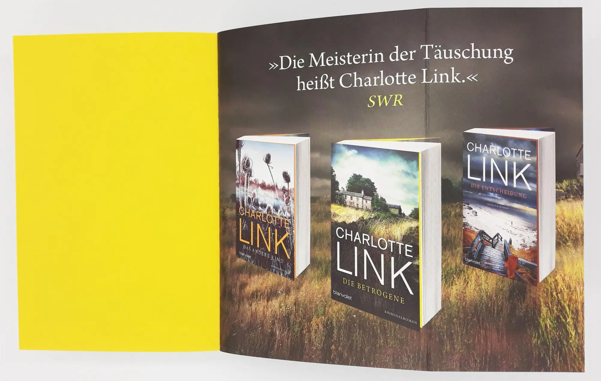 Bild: 9783734107429 | Die Suche | Kriminalroman - Der Bestseller jetzt als Taschenbuch
