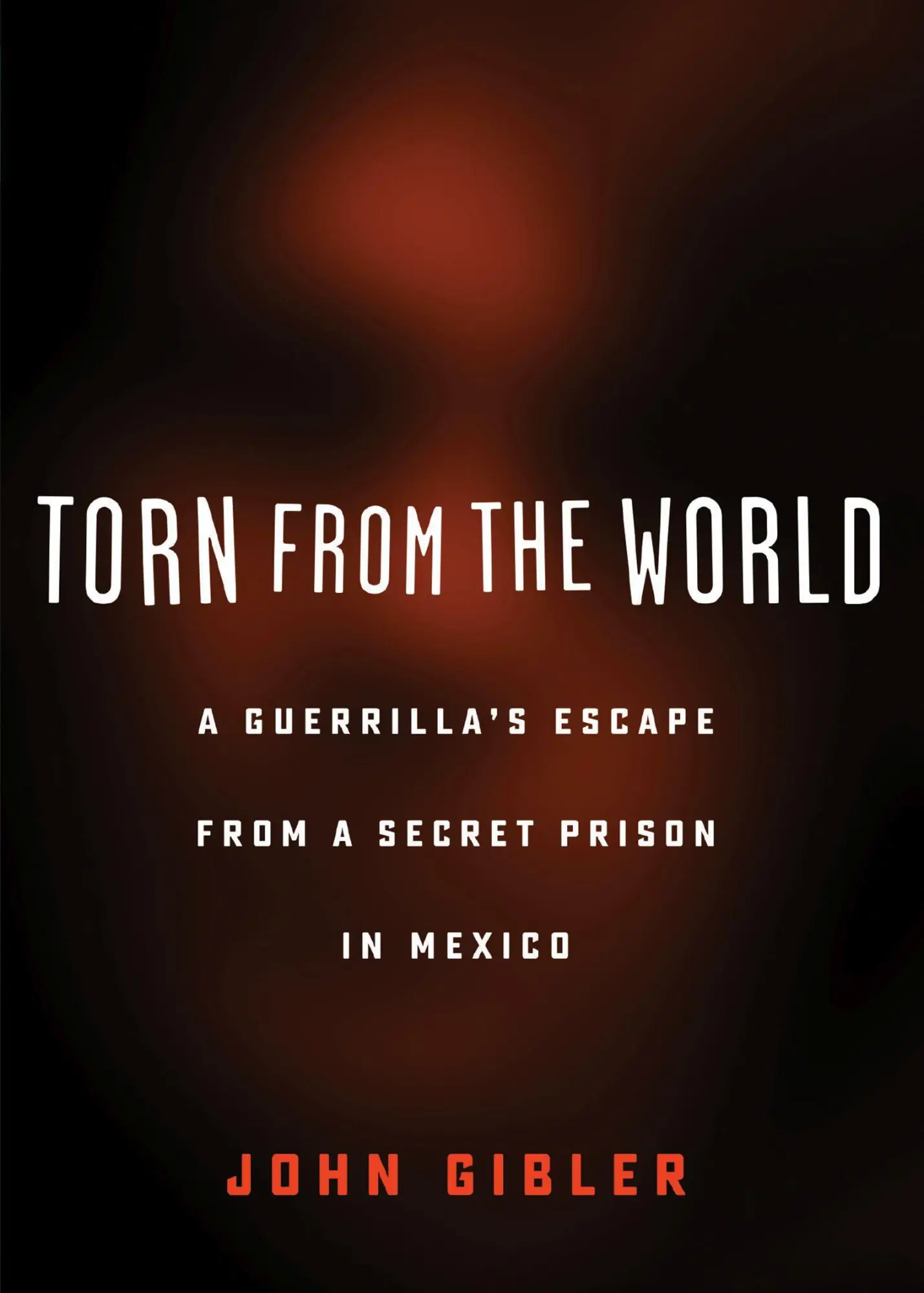 Cover: 9780872867529 | Torn from the World: A Guerrilla's Escape from a Secret Prison in...