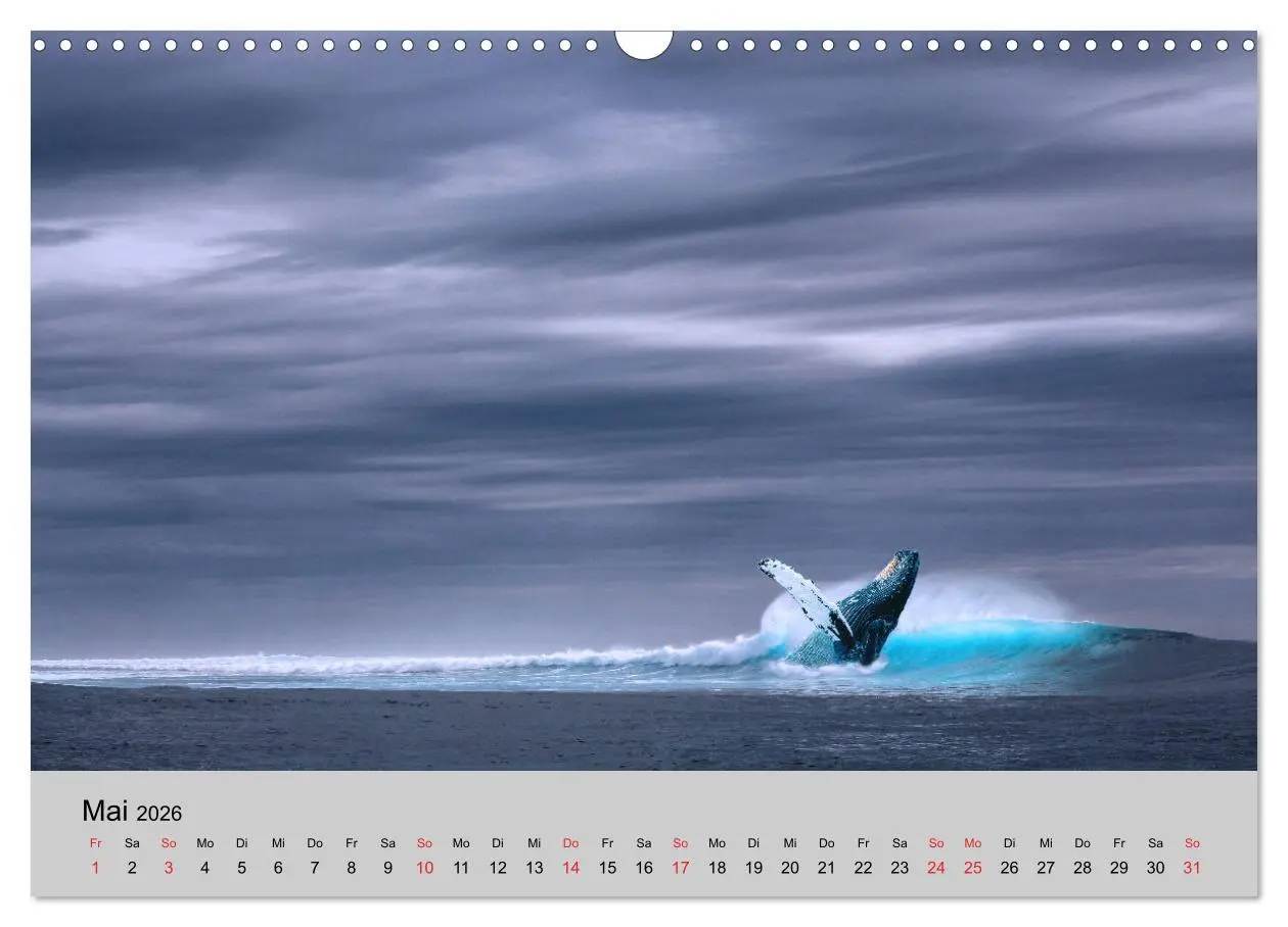 Bild: 9783457827529 | Am Meer. Sehnsucht Wasser (Wandkalender 2026 DIN A3 quer), CALVENDO...