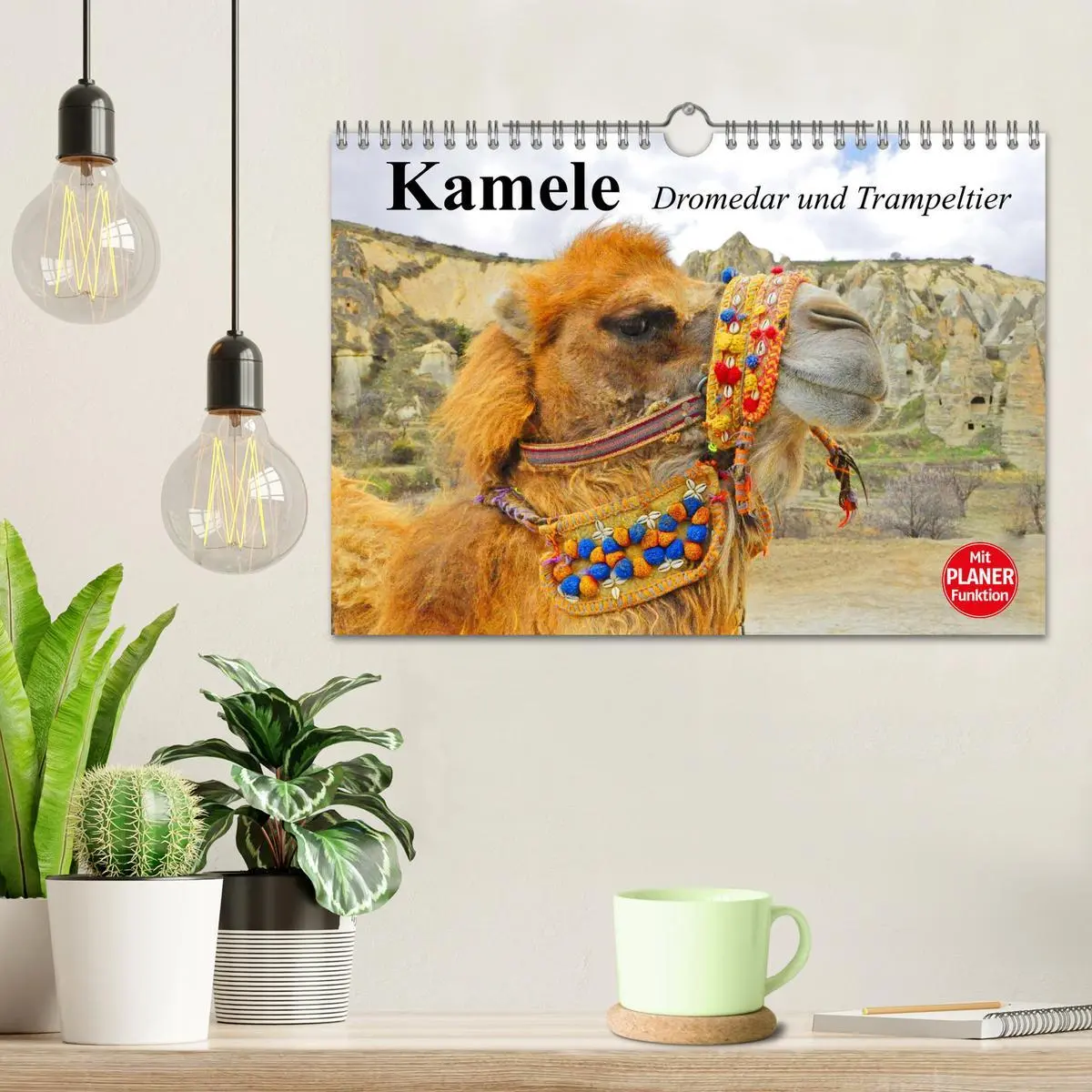 Bild: 9783457997529 | Kamele. Dromedar und Trampeltier (Wandkalender 2026 DIN A4 quer),...
