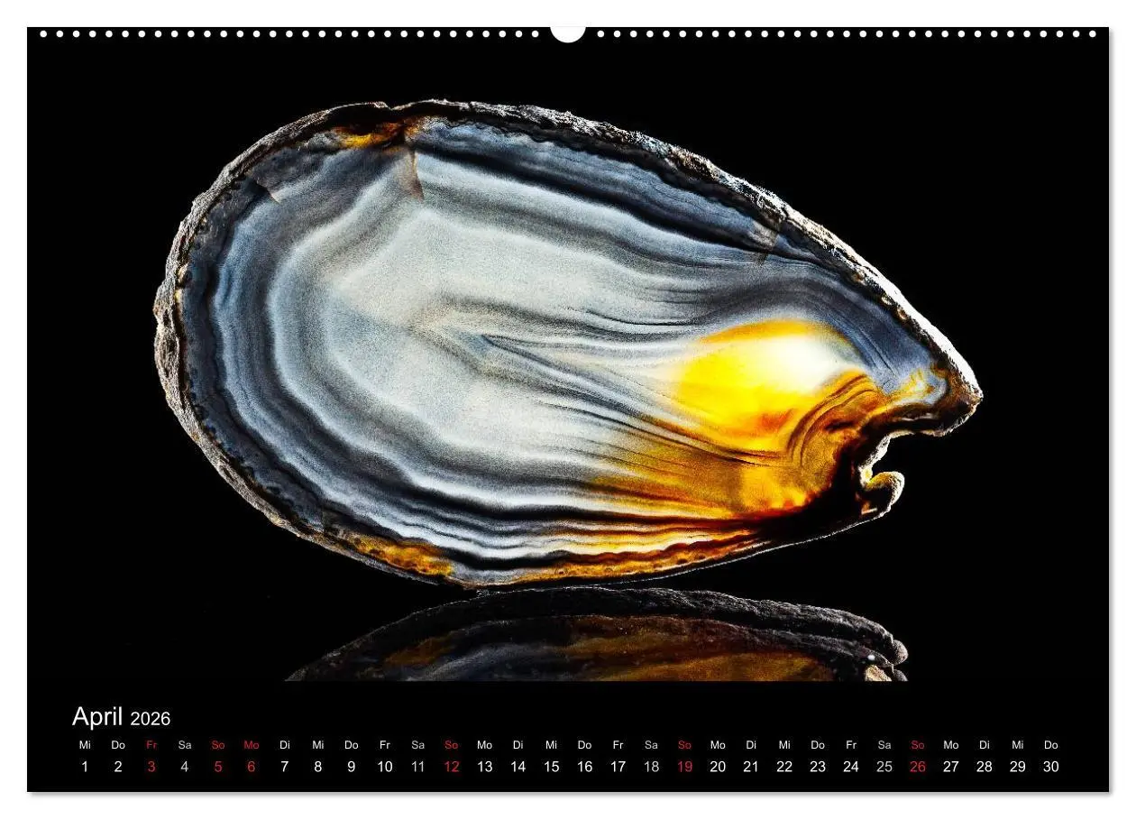 Bild: 9783516087529 | Leuchtende Achate (Wandkalender 2026 DIN A2 quer), CALVENDO...