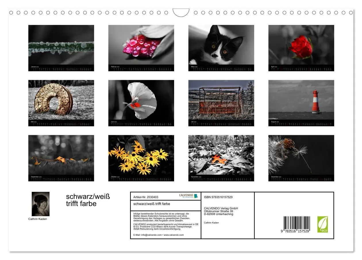Bild: 9783516157529 | schwarz/weiß trifft farbe (Wandkalender 2026 DIN A3 quer), CALVENDO...