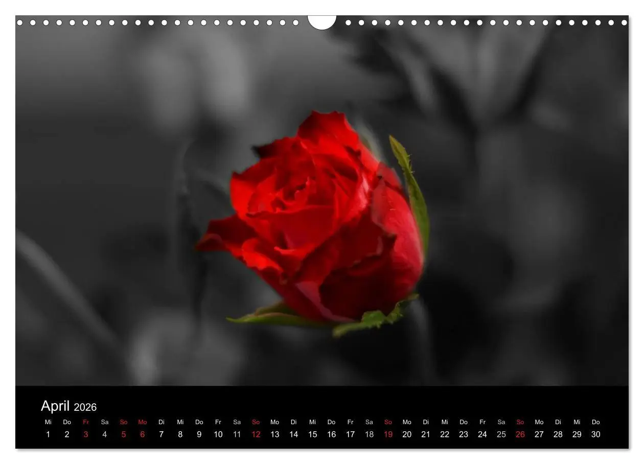 Bild: 9783516157529 | schwarz/weiß trifft farbe (Wandkalender 2026 DIN A3 quer), CALVENDO...