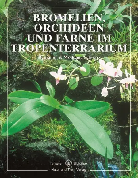 Cover: 9783931587529 | Bromelien, Orchideen und Farne im Tropenterrarium | Schwarz (u. a.)