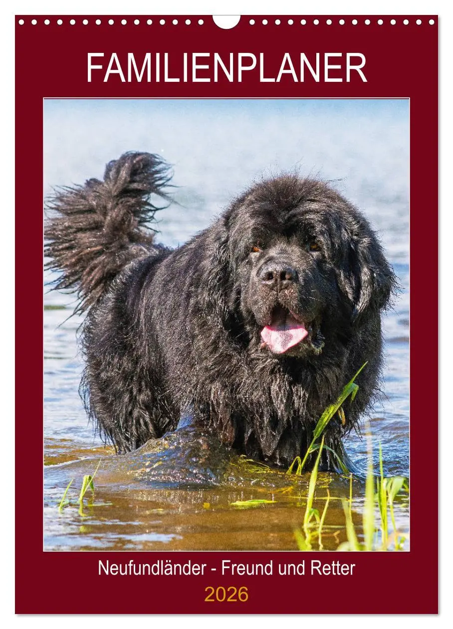 Cover: 9783516387629 | Familienplaner Neufundländer - Freund und Retter (Wandkalender 2026...