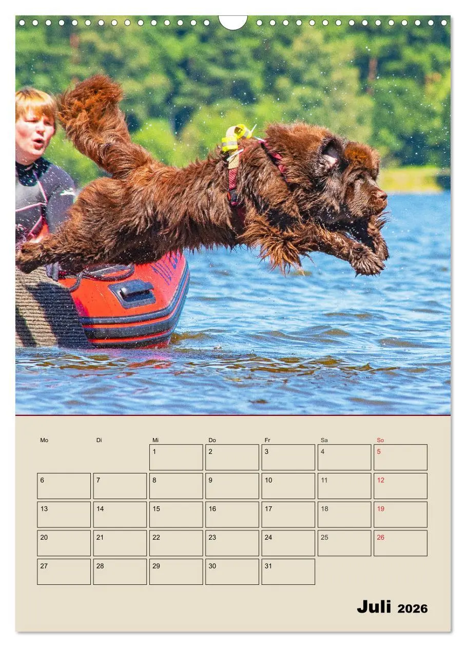 Bild: 9783516387629 | Familienplaner Neufundländer - Freund und Retter (Wandkalender 2026...