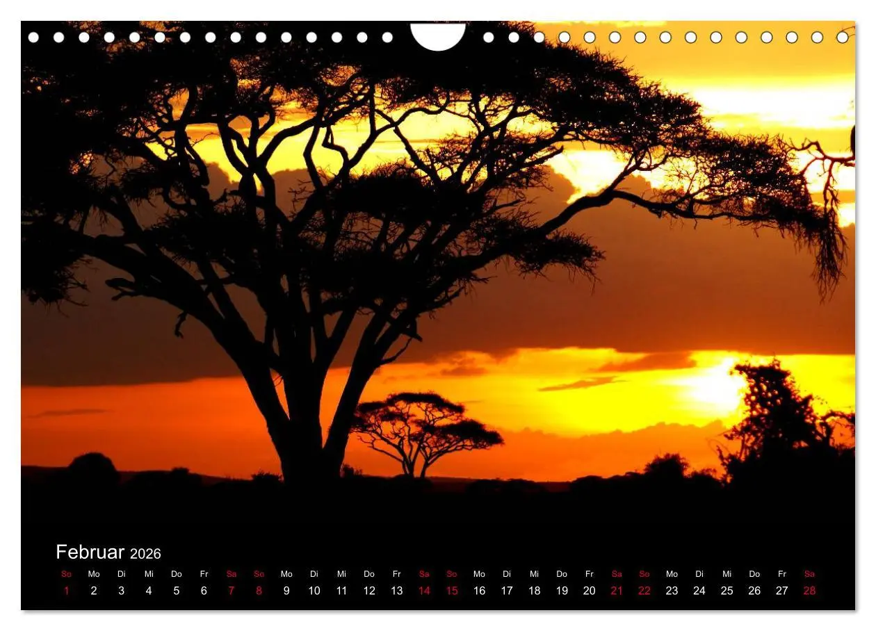 Bild: 9783516137729 | Natur von ihrer schönsten Seite 2026 (Wandkalender 2026 DIN A4...