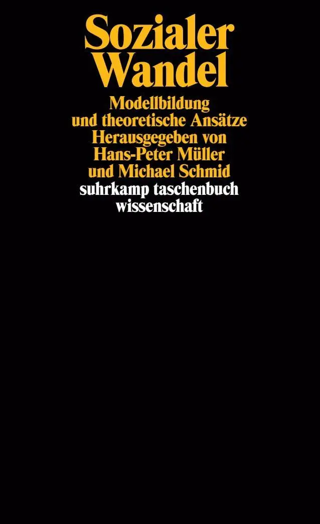 Cover: 9783518287729 | Sozialer Wandel | Michael Schmid (u. a.) | Taschenbuch | 402 S. | 1994