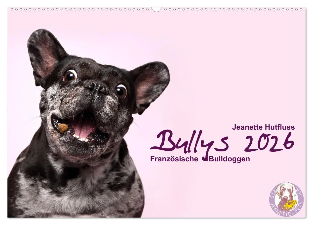 Cover: 9783457727829 | Bullys - Französische Bulldoggen 2026 (Wandkalender 2026 DIN A2...
