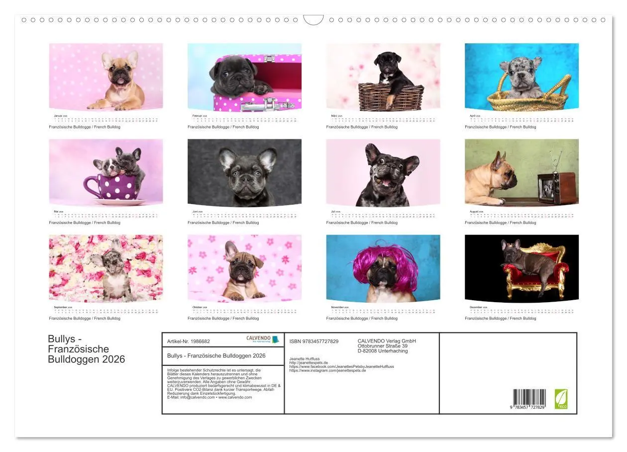 Bild: 9783457727829 | Bullys - Französische Bulldoggen 2026 (Wandkalender 2026 DIN A2...