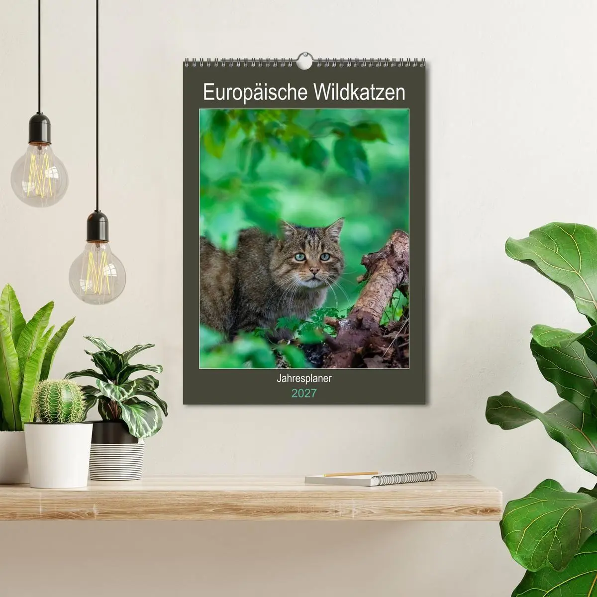 Bild: 9783569767829 | Europäische Wildkatzen - Jahresplaner (Wandkalender 2027 DIN A3...