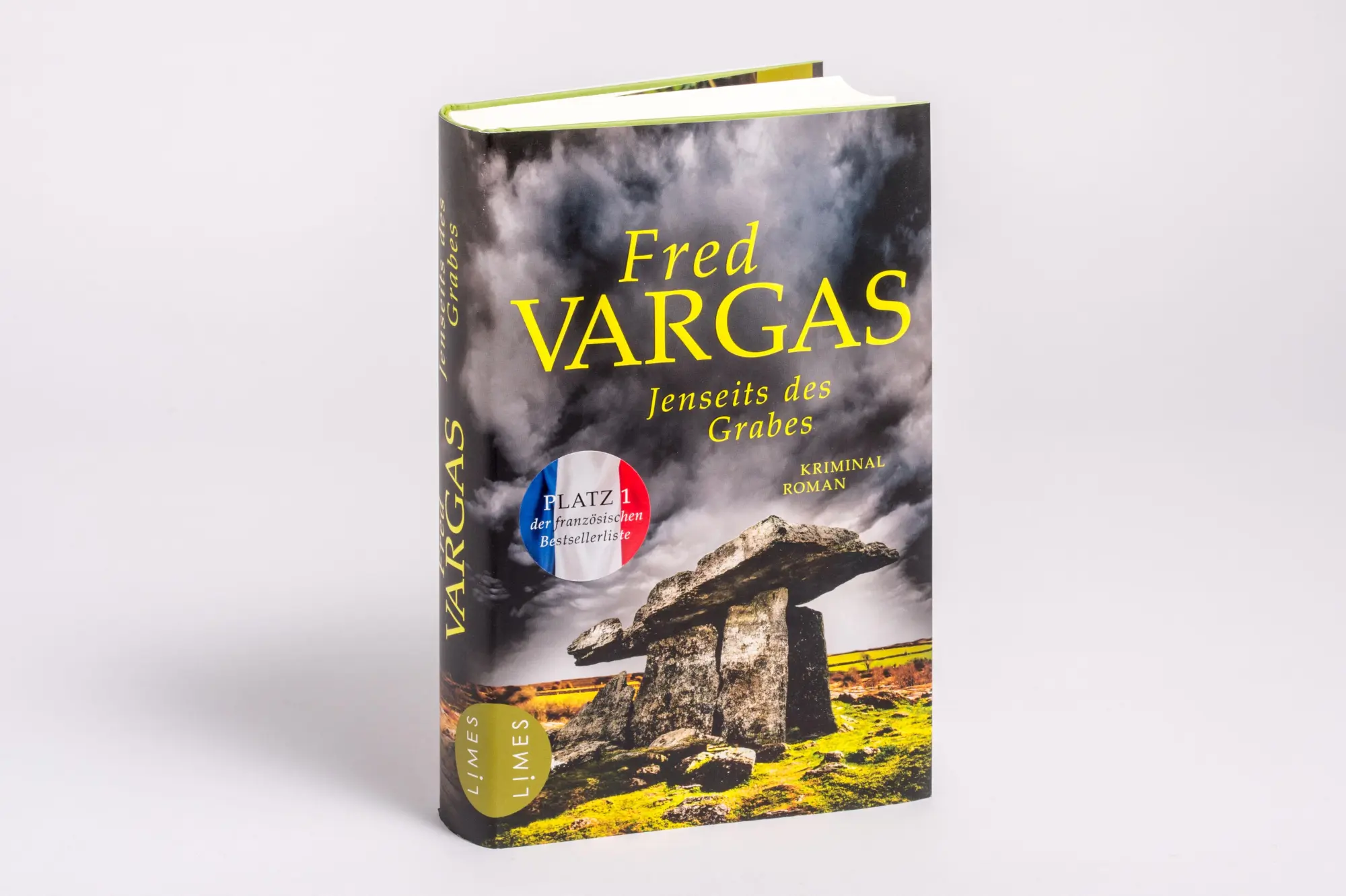 Bild: 9783809027829 | Jenseits des Grabes | Kriminalroman | Fred Vargas | Buch | 528 S.