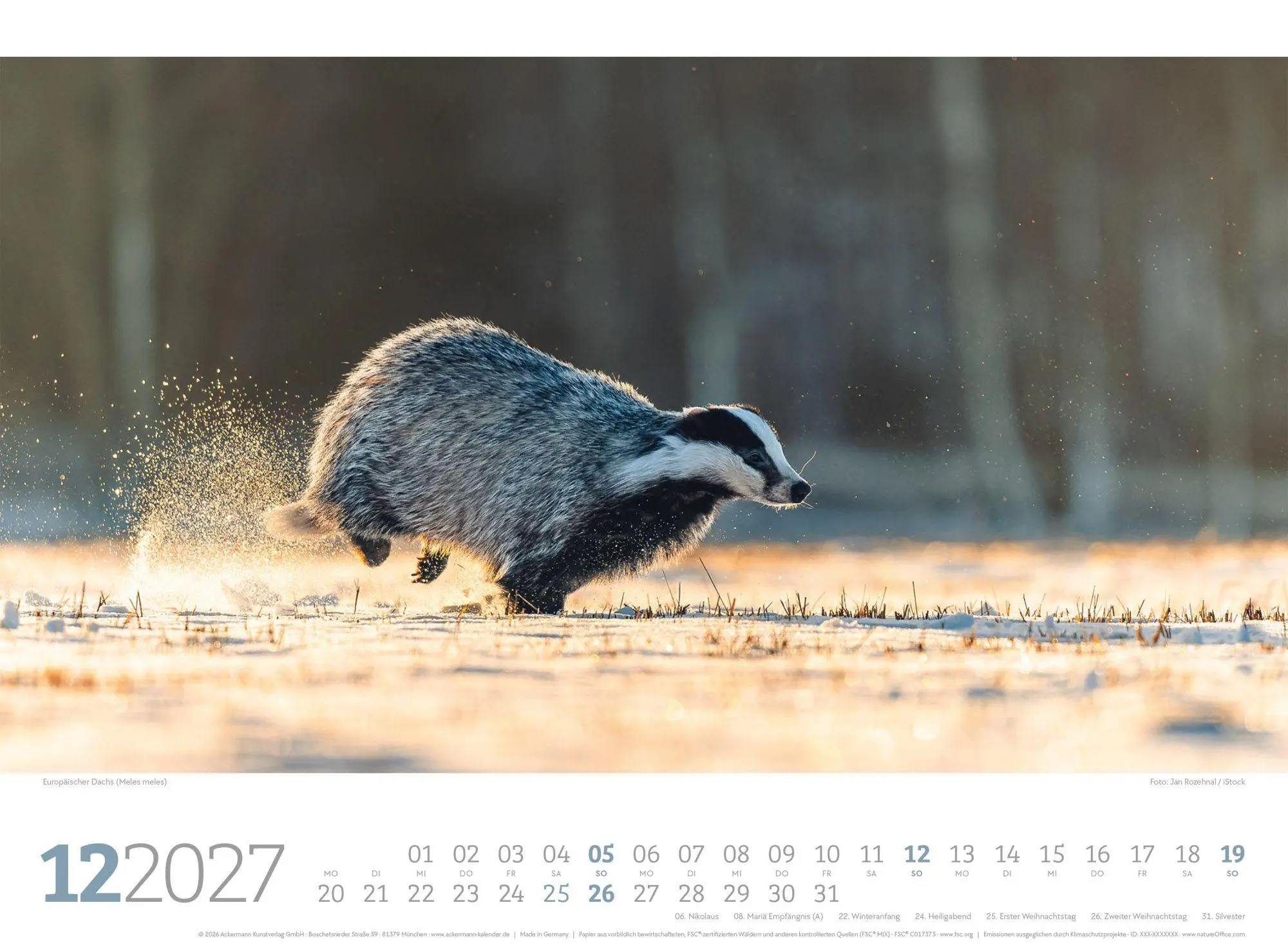 Bild: 9783838427829 | Tierwelt Wald Kalender 2027 | Ackermann Kunstverlag GmbH | Kalender
