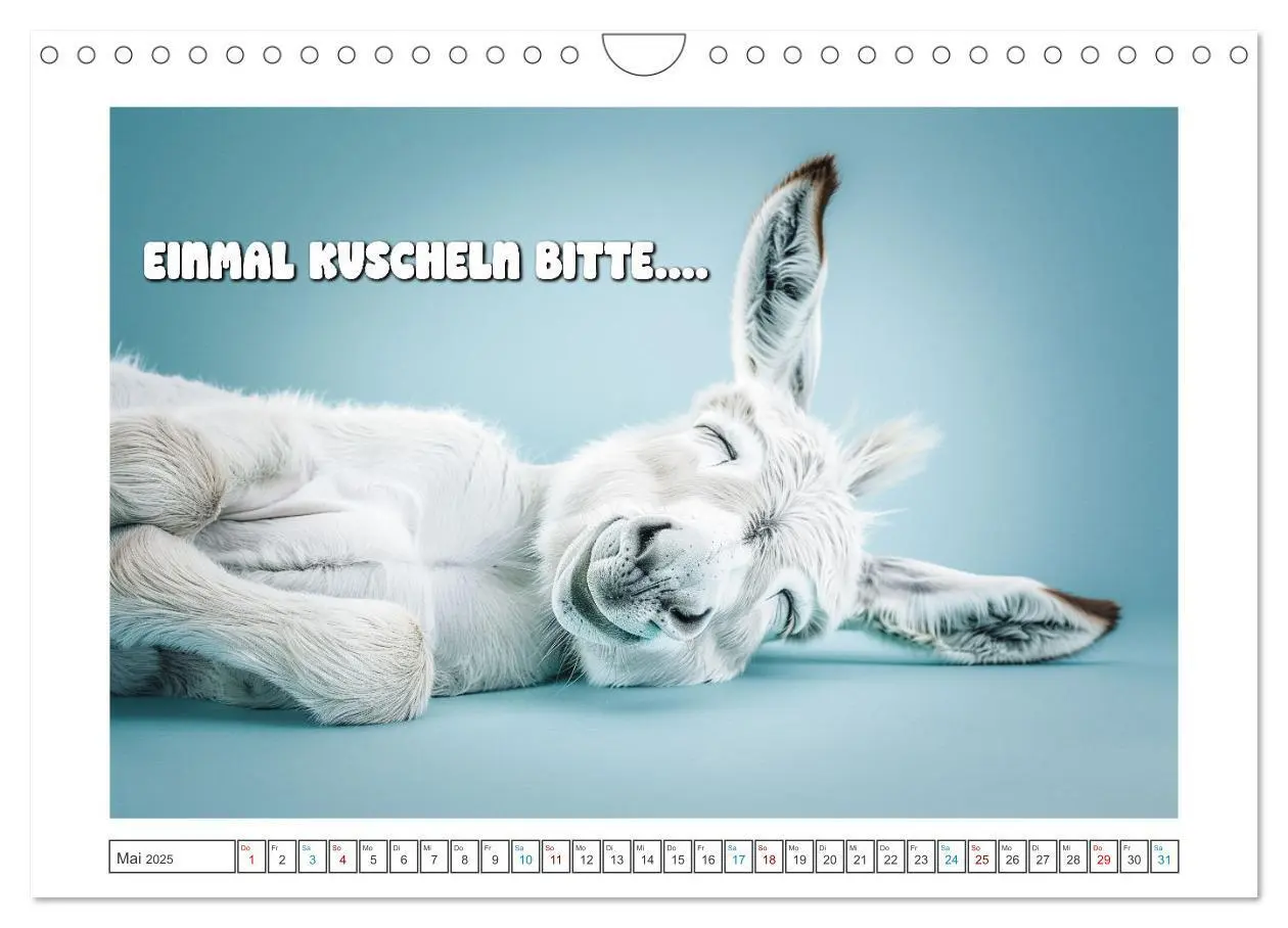 Bild: 9783457158029 | Humorvoll durch das Jahr (Wandkalender 2025 DIN A4 quer), CALVENDO...