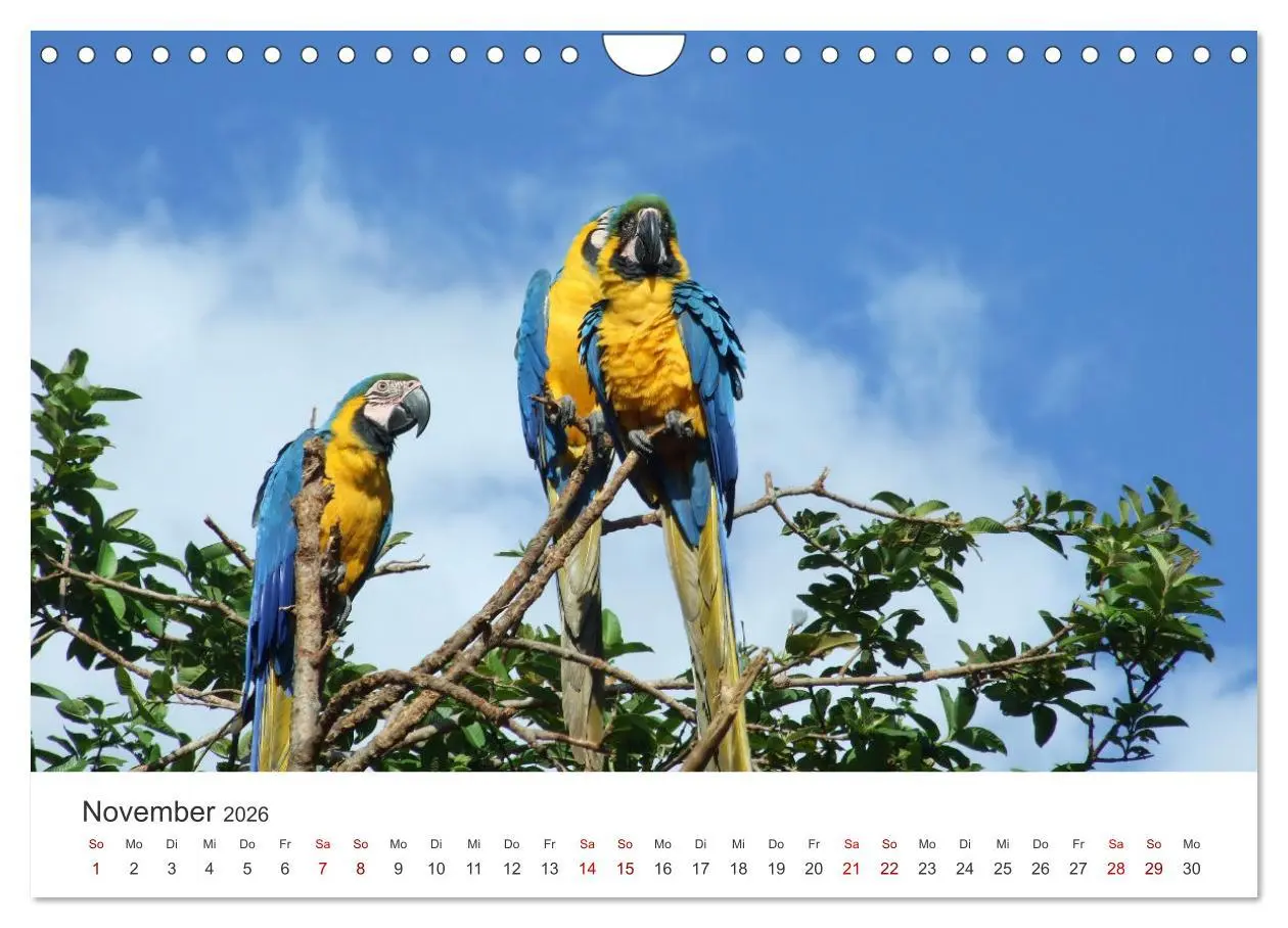Bild: 9783457608029 | Venezuela - Eine Reise entlang der Karibikküste. (Wandkalender 2026...