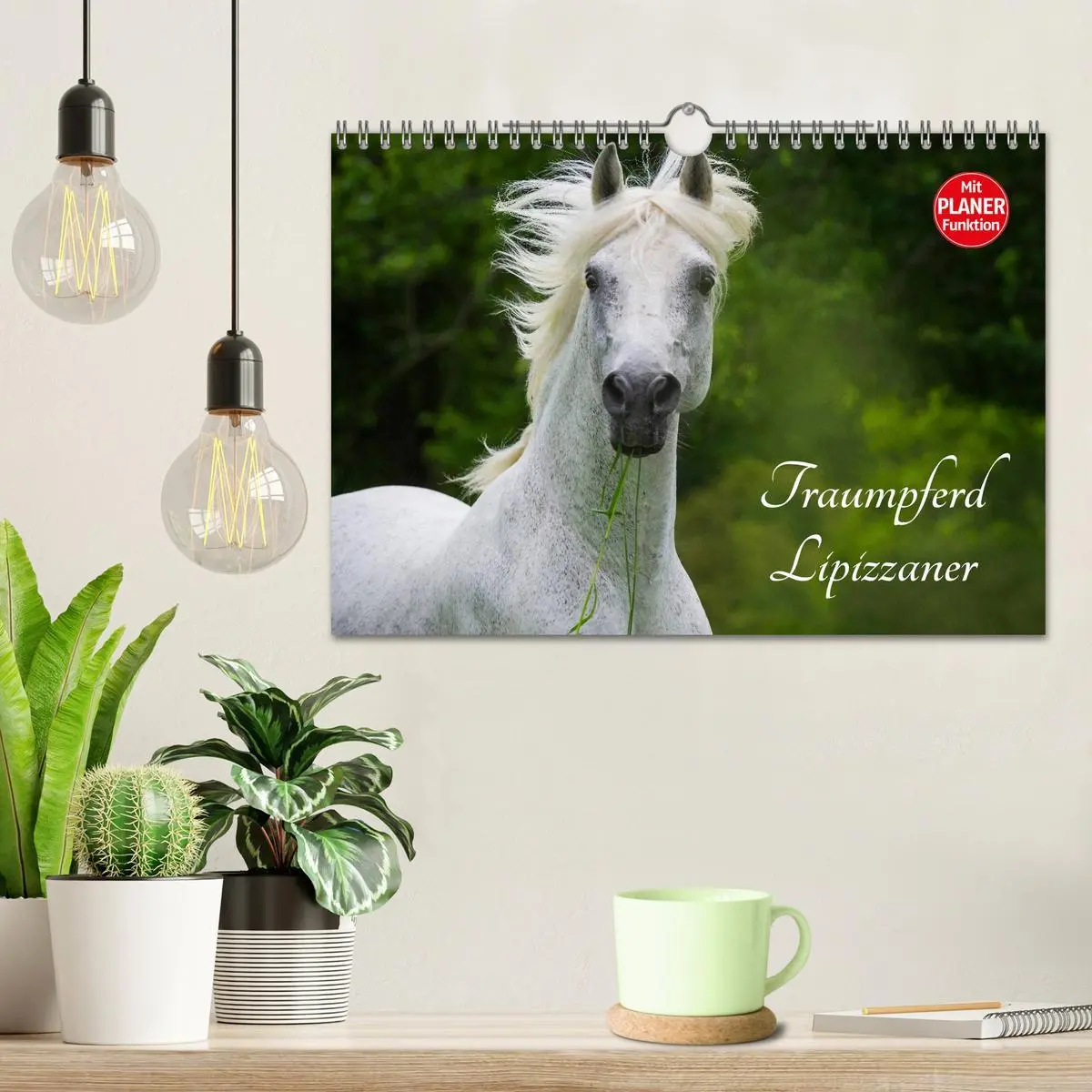 Bild: 9783516008029 | Traumpferd Lipizzaner (Wandkalender 2026 DIN A4 quer), CALVENDO...