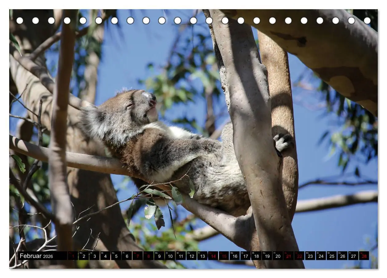 Bild: 9783457838129 | West-Australien (Tischkalender 2026 DIN A5 quer), CALVENDO...