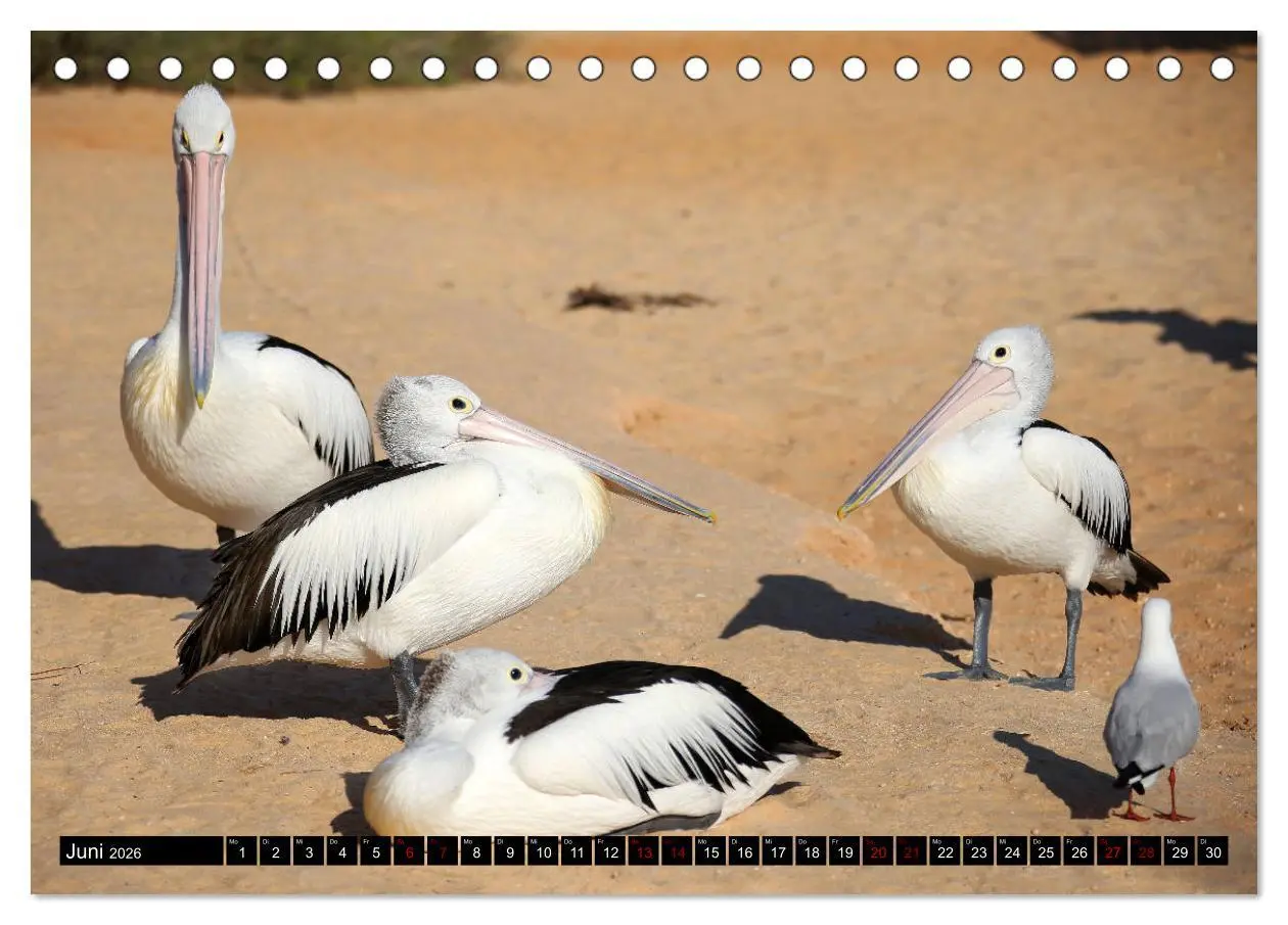 Bild: 9783457838129 | West-Australien (Tischkalender 2026 DIN A5 quer), CALVENDO...