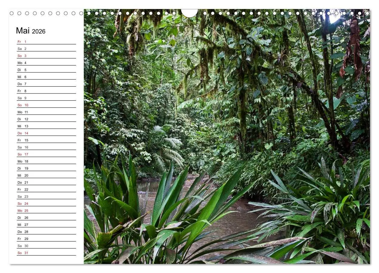 Bild: 9783516238129 | Kolumbien Impressionen (Wandkalender 2026 DIN A3 quer), CALVENDO...