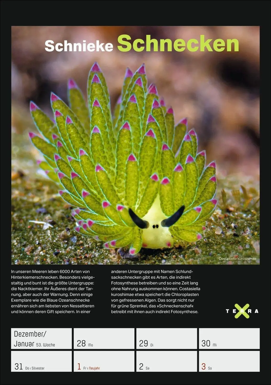 Bild: 9783840038129 | Terra X - Das Wunder Erde Wochenplaner 2027 | Kalender | 54 S. | 2027