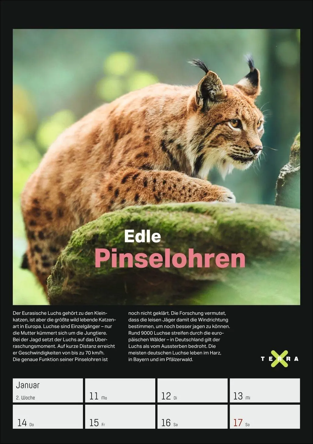 Bild: 9783840038129 | Terra X - Das Wunder Erde Wochenplaner 2027 | Kalender | 54 S. | 2027