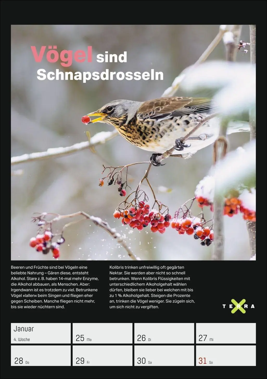 Bild: 9783840038129 | Terra X - Das Wunder Erde Wochenplaner 2027 | Kalender | 54 S. | 2027