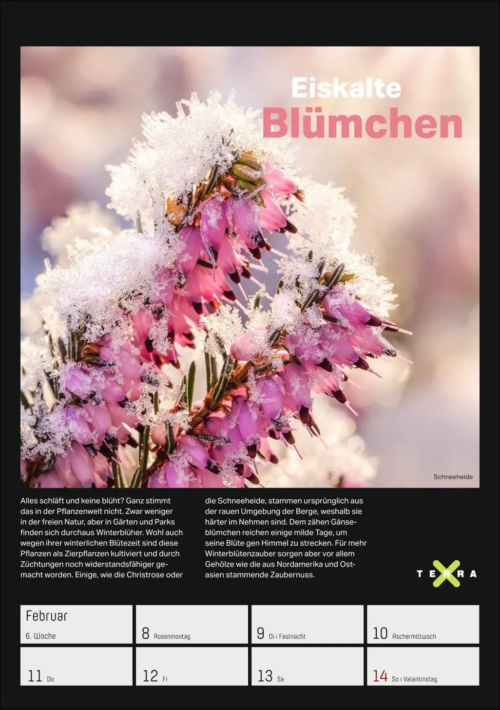 Bild: 9783840038129 | Terra X - Das Wunder Erde Wochenplaner 2027 | Kalender | 54 S. | 2027