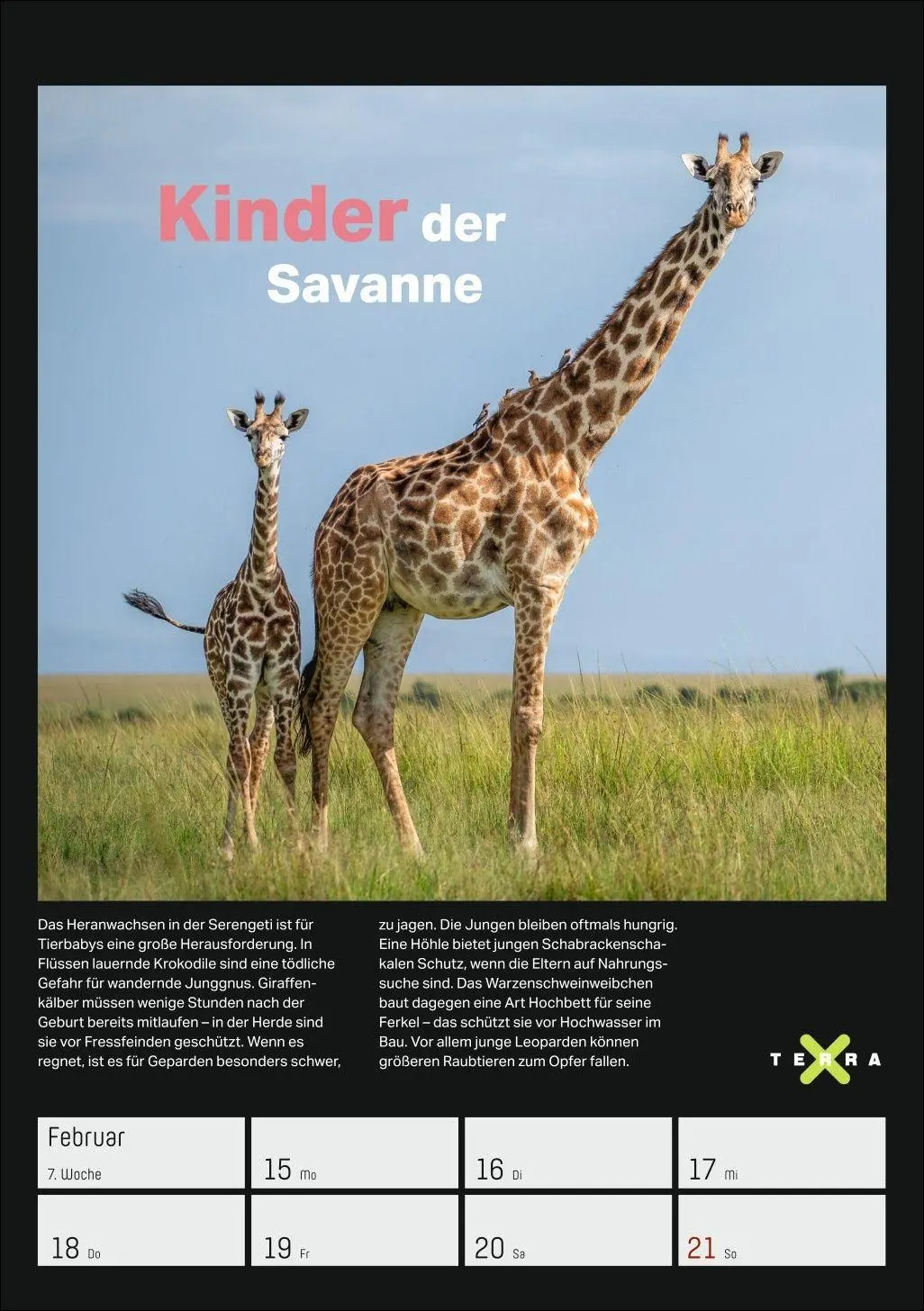 Bild: 9783840038129 | Terra X - Das Wunder Erde Wochenplaner 2027 | Kalender | 54 S. | 2027