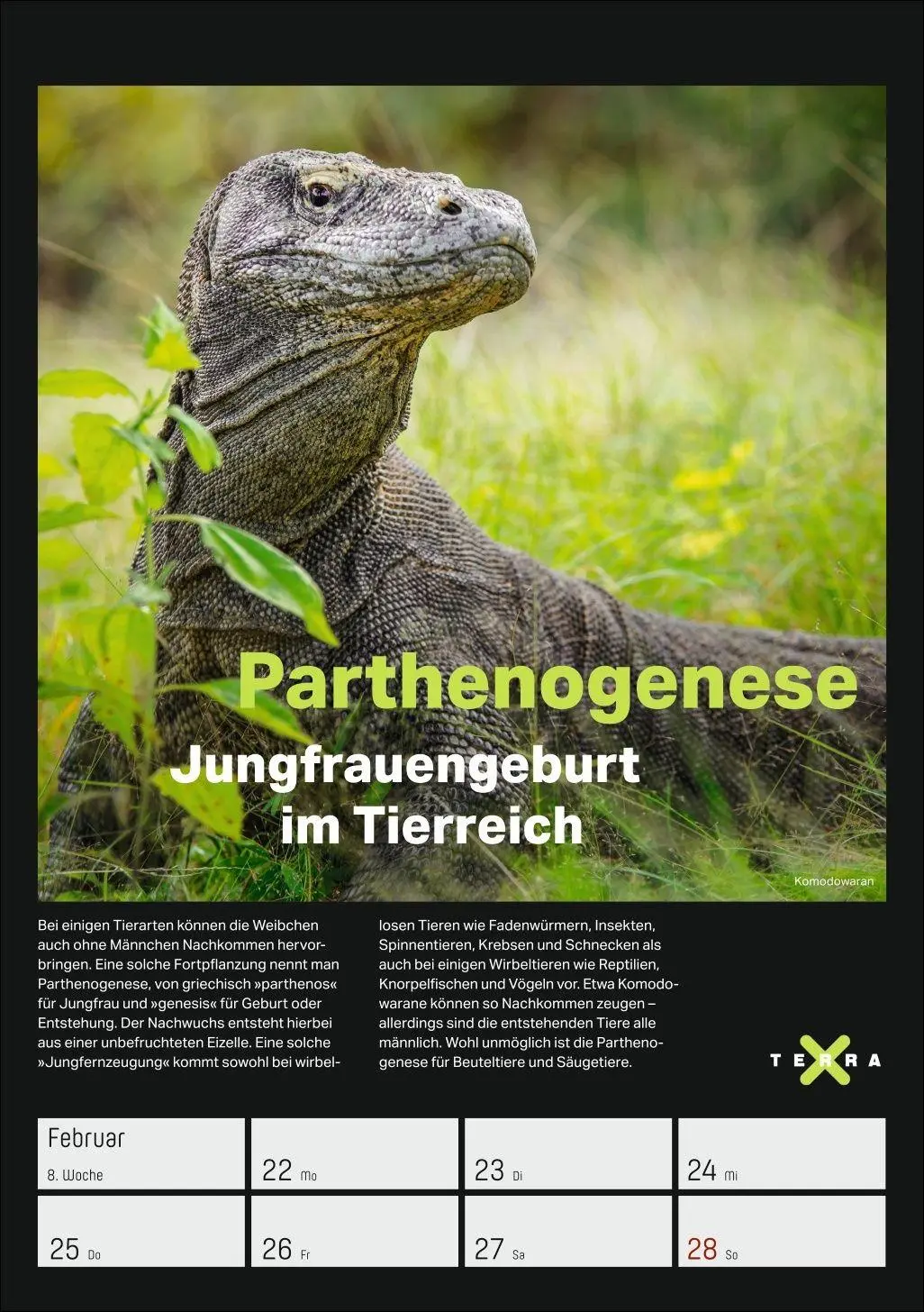 Bild: 9783840038129 | Terra X - Das Wunder Erde Wochenplaner 2027 | Kalender | 54 S. | 2027